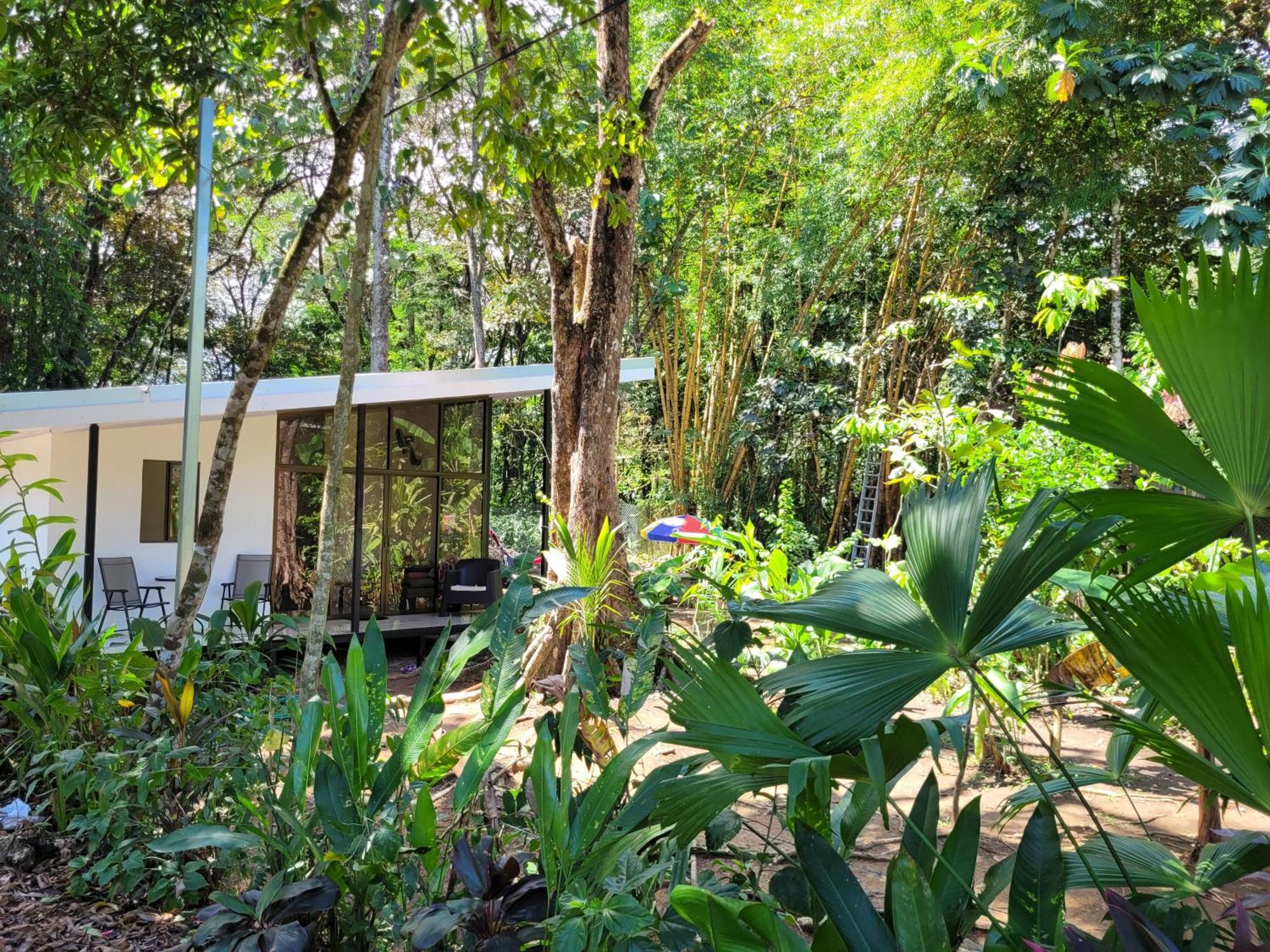 Luba House Villa Puerto Jimenez Bagian luar foto